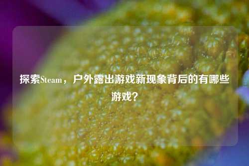 探索Steam,户外露出游戏新现象背后的有哪些游戏?