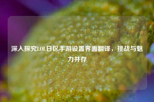 深入探究LOL日区手游设置界面翻译，挑战与魅力并存