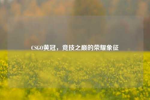 CSGO黄冠,竞技之巅的荣耀象征