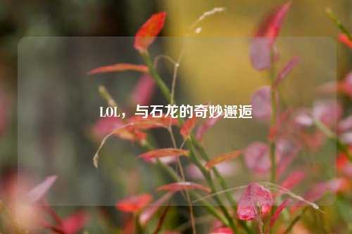 LOL，与石龙的奇妙邂逅