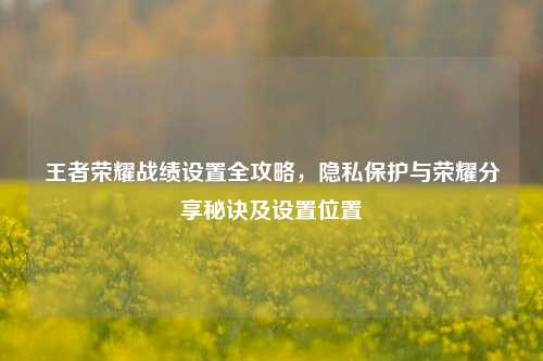 王者荣耀战绩设置全攻略，隐私保护与荣耀分享秘诀及设置位置