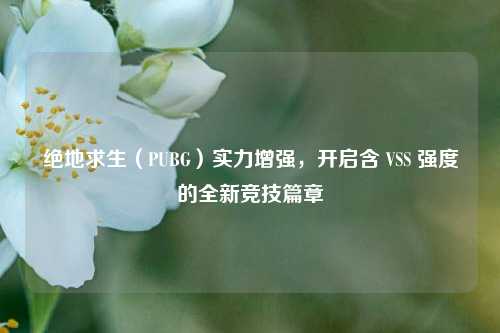 绝地求生（PUBG）实力增强，开启含 VSS 强度的全新竞技篇章