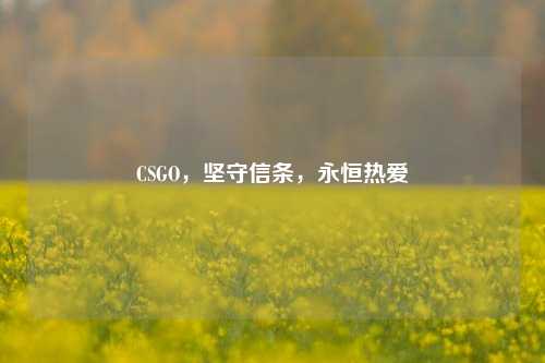 CSGO，坚守信条，永恒热爱