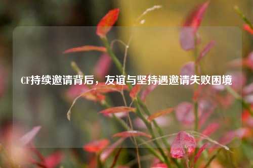 CF持续邀请背后，友谊与坚持遇邀请失败困境