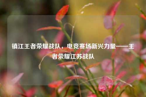 镇江王者荣耀战队，电竞赛场新兴力量——王者荣耀江苏战队