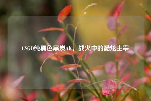 CSGO纯黑色黑炭AK，战火中的酷炫主宰