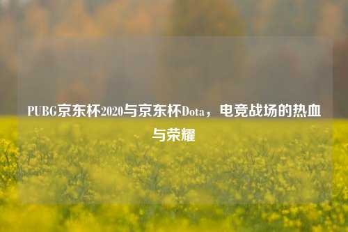PUBG京东杯2020与京东杯Dota，电竞战场的热血与荣耀