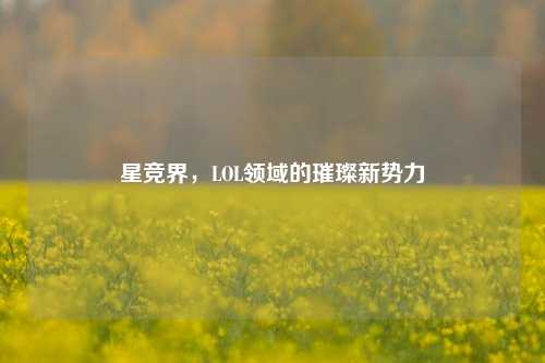 星竞界，LOL领域的璀璨新势力