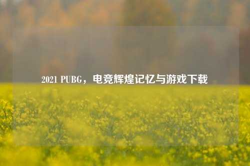 2021 PUBG，电竞辉煌记忆与游戏下载
