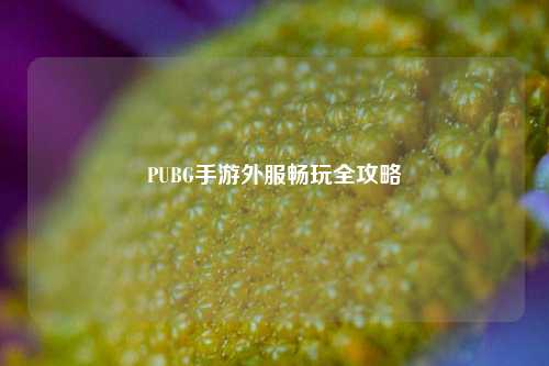 PUBG手游外服畅玩全攻略