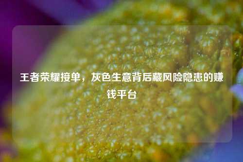 王者荣耀接单，灰色生意背后藏风险隐患的赚钱平台