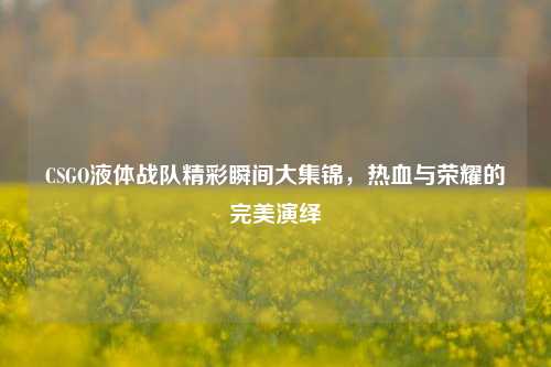 CSGO液体战队精彩瞬间大集锦，热血与荣耀的完美演绎