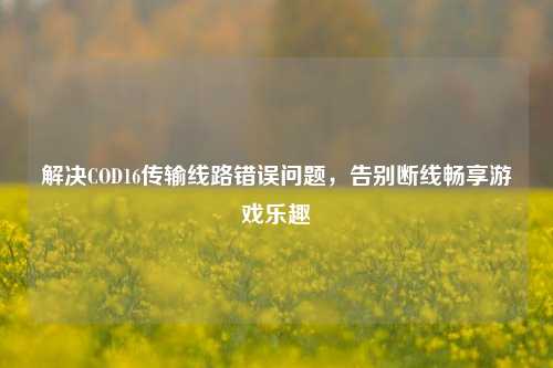 解决COD16传输线路错误问题，告别断线畅享游戏乐趣