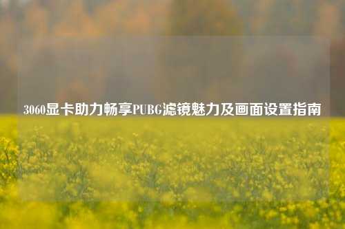 3060显卡助力畅享PUBG滤镜魅力及画面设置指南