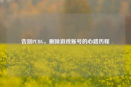 告别PUBG，删除游戏账号的心路历程