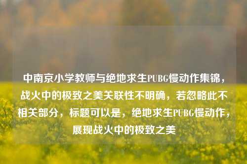 中南京小学教师与绝地求生PUBG慢动作集锦，战火中的极致之美关联性不明确，若忽略此不相关部分，标题可以是，绝地求生PUBG慢动作，展现战火中的极致之美