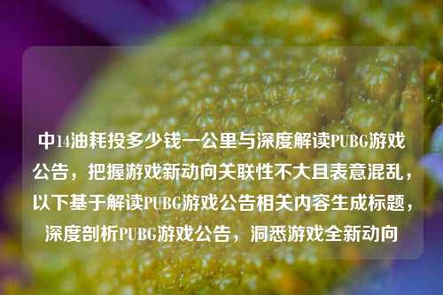 中14油耗投多少钱一公里与深度解读PUBG游戏公告，把握游戏新动向关联性不大且表意混乱，以下基于解读PUBG游戏公告相关内容生成标题，深度剖析PUBG游戏公告，洞悉游戏全新动向