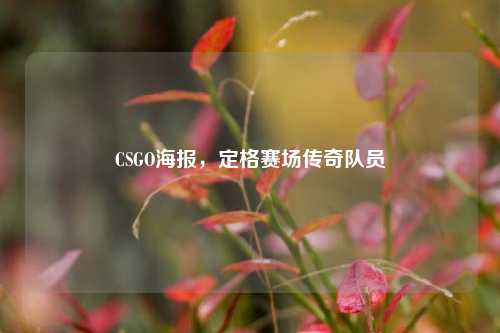 CSGO海报，定格赛场传奇队员