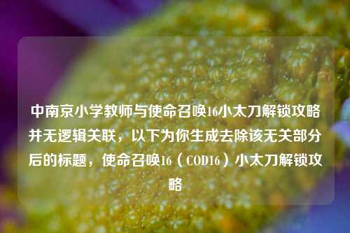 中南京小学教师与使命召唤16小太刀解锁攻略并无逻辑关联,以下为你生成去除该无关部分后的标题,使命召唤16(COD16)小太刀解锁攻略