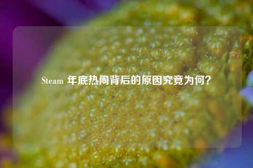 Steam 年底热闹背后的原因究竟为何？