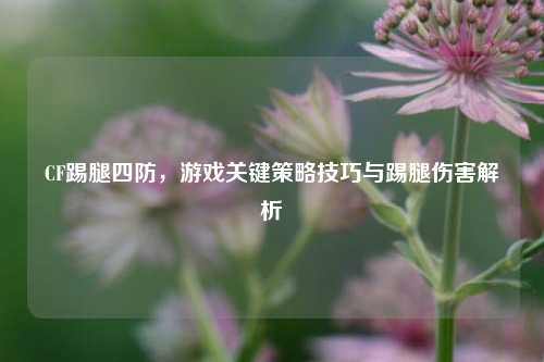 CF踢腿四防，游戏关键策略技巧与踢腿伤害解析
