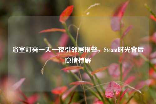 浴室灯亮一天一夜引邻居报警，Steam时光背后隐情待解