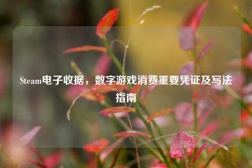 Steam电子收据，数字游戏消费重要凭证及写法指南