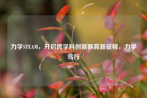 力学STEAM，开启跨学科创新教育新征程，力学笃行