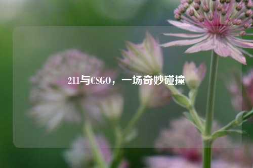 211与CSGO，一场奇妙碰撞