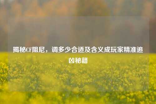 揭秘CF阻尼,调多少合适及含义成玩家精准追凶秘籍