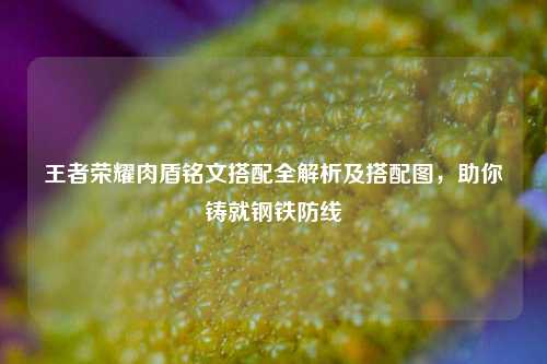王者荣耀肉盾铭文搭配全解析及搭配图，助你铸就钢铁防线