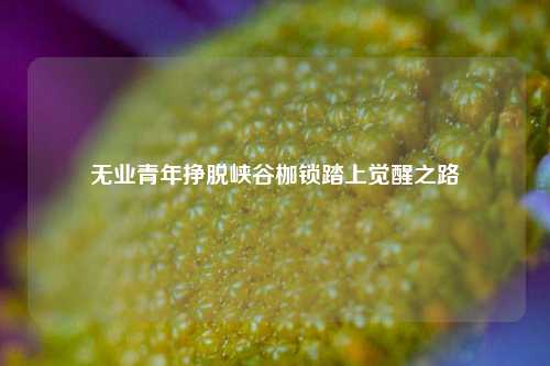 无业青年挣脱峡谷枷锁踏上觉醒之路