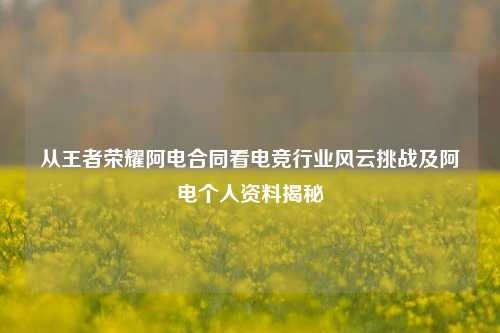 从王者荣耀阿电合同看电竞行业风云挑战及阿电个人资料揭秘