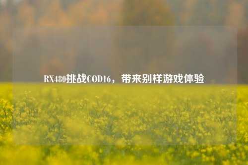 RX480挑战COD16，带来别样游戏体验