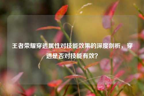 王者荣耀穿透属性对技能效果的深度剖析，穿透是否对技能有效？