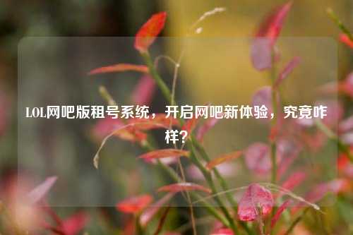 LOL网吧版租号系统,开启网吧新体验,究竟咋样?