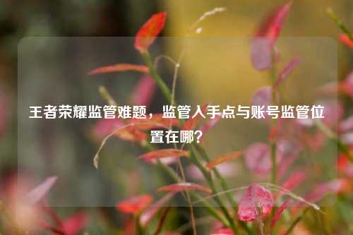 王者荣耀监管难题，监管入手点与账号监管位置在哪？