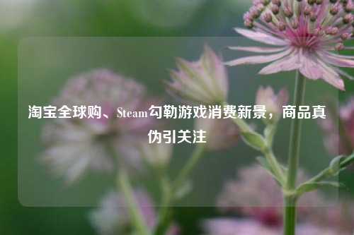 淘宝全球购、Steam勾勒游戏消费新景，商品真伪引关注
