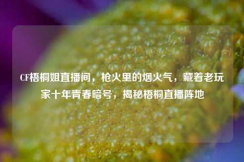 CF梧桐姐直播间,枪火里的烟火气,藏着老玩家十年青春暗号,揭秘梧桐直播阵地