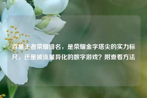 百星王者荣耀排名,是荣耀金字塔尖的实力标尺,还是被流量异化的数字游戏?附查看方法
