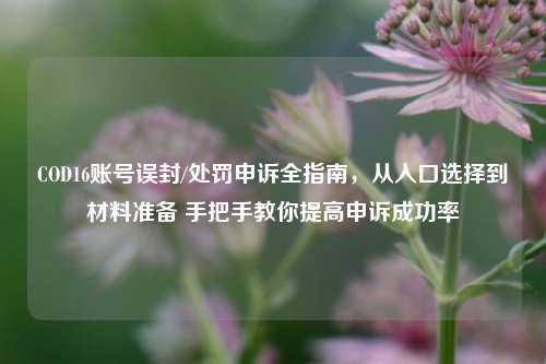 COD16账号误封/处罚申诉全指南,从入口选择到材料准备 手把手教你提高申诉成功率