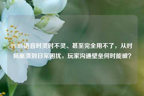 PUBG语音时灵时不灵、甚至完全用不了,从对局崩溃到日常困扰,玩家沟通壁垒何时能破?
