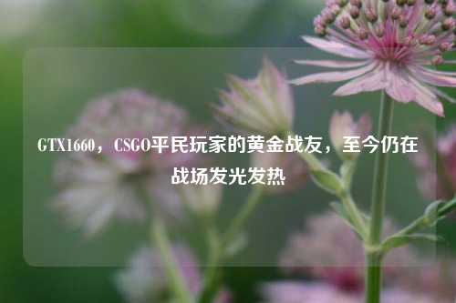 GTX1660,CSGO平民玩家的黄金战友,至今仍在战场发光发热