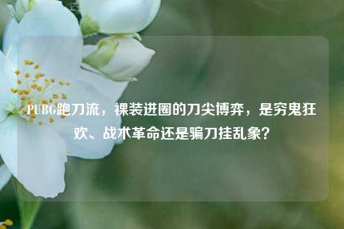 PUBG跑刀流,裸装进圈的刀尖博弈,是穷鬼狂欢、战术革命还是骗刀挂乱象?
