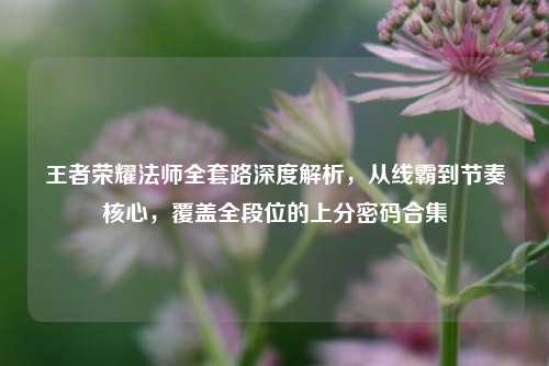 王者荣耀法师全套路深度解析,从线霸到节奏核心,覆盖全段位的上分密码合集