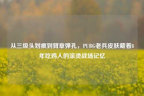 从三级头划痕到臂章弹孔,PUBG老兵皮肤藏着8年吃鸡人的滚烫战场记忆