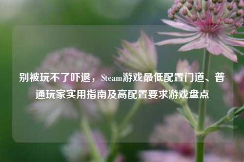 别被玩不了吓退,Steam游戏最低配置门道、普通玩家实用指南及高配置要求游戏盘点