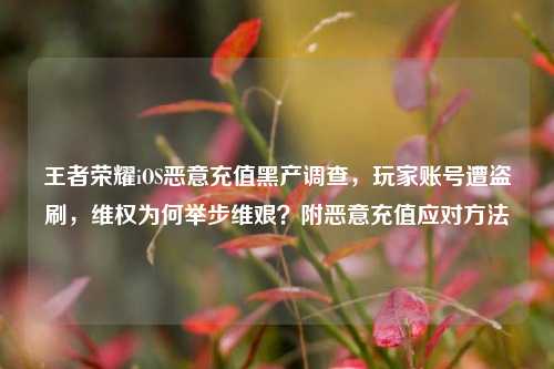 王者荣耀iOS恶意充值黑产调查,玩家账号遭盗刷,维权为何举步维艰?附恶意充值应对方法