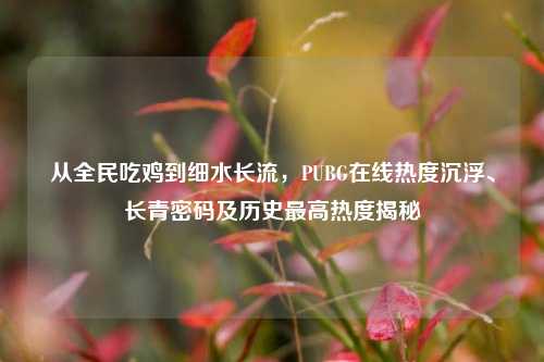 从全民吃鸡到细水长流,PUBG在线热度沉浮、长青密码及历史最高热度揭秘