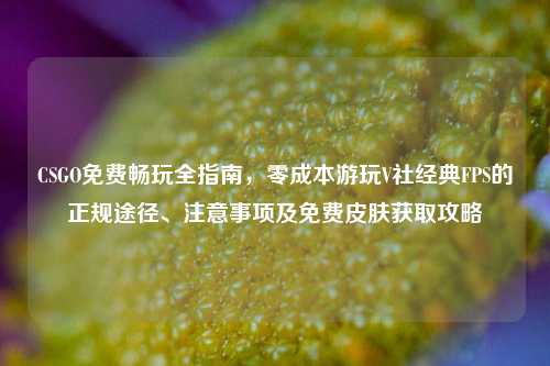 CSGO免费畅玩全指南,零成本游玩V社经典FPS的正规途径、注意事项及免费皮肤获取攻略